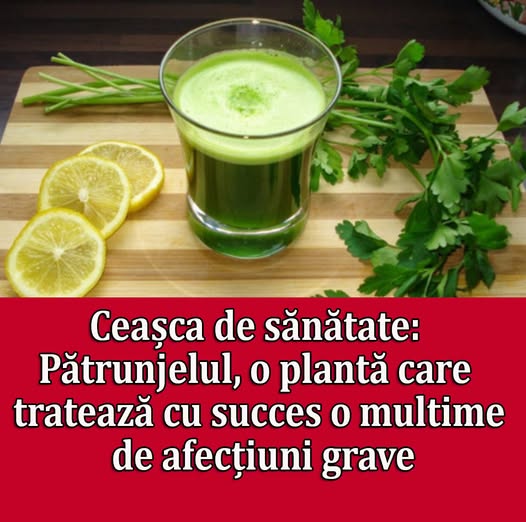 Beneficiile Pătrunjelului: Cum Să Prepari Corect Această Plantă Miraculoasă