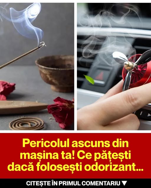Pericolele Odorizantelor Auto: Ce Trebuie Să Știi