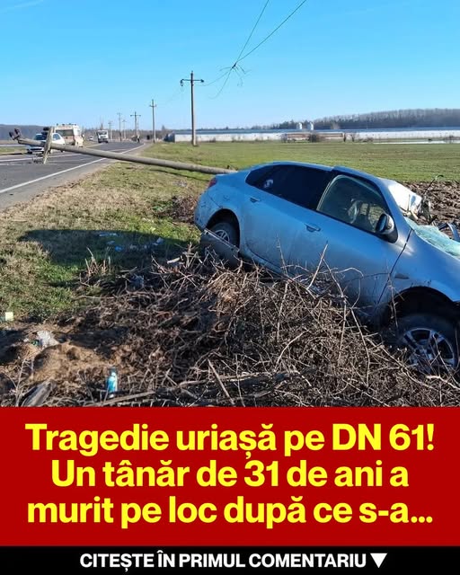 Tragedie pe DN 61: Impactul Accidentelor de Trafic
